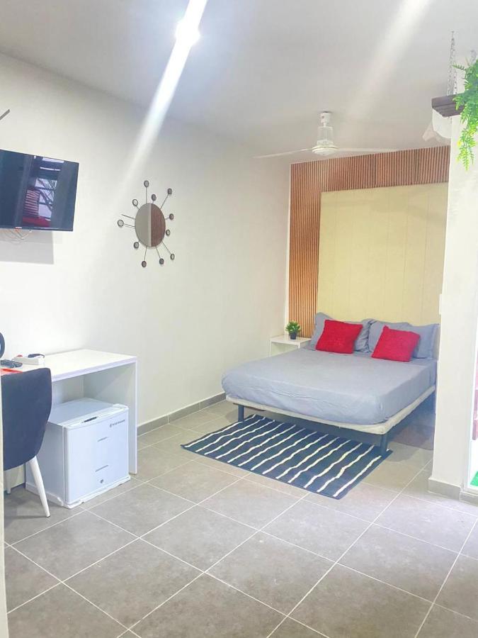 Apartament Nº8 Luma - *